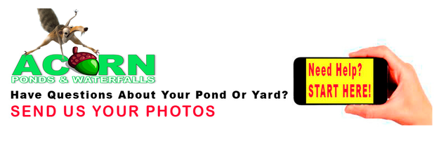 Hire Acorn for reliable pond & water feature services - call 585-442-6373 now!