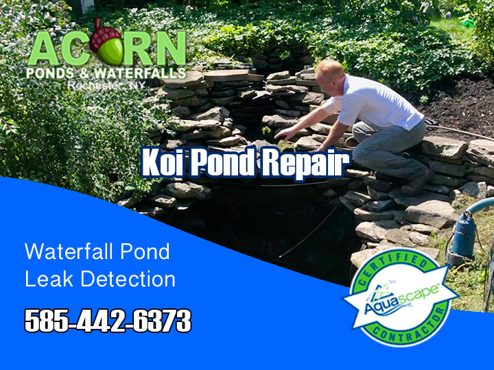 Koi Pond - Fountain Repair Services Rochester - Western New York 